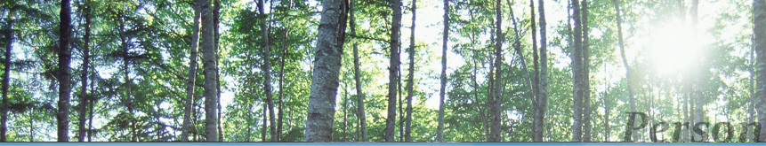 �ĿͤΤ�����